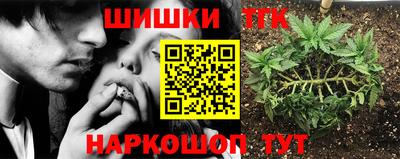 твердый Бердск