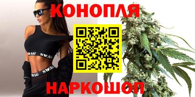 твердый Бердск