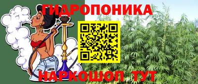 твердый Бердск