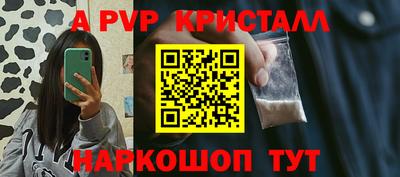 твердый Бердск