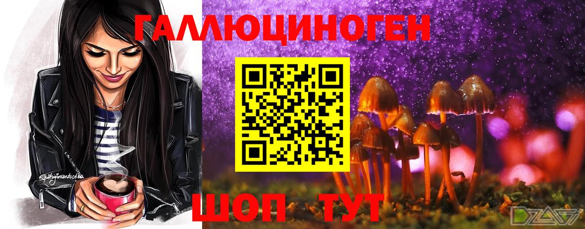 Псилоцибиновые грибы мицелий  Вход с VPN  Ахтубинск  даркнет сайт  Псилоцибиновые грибы GOLDEN TEACHER 